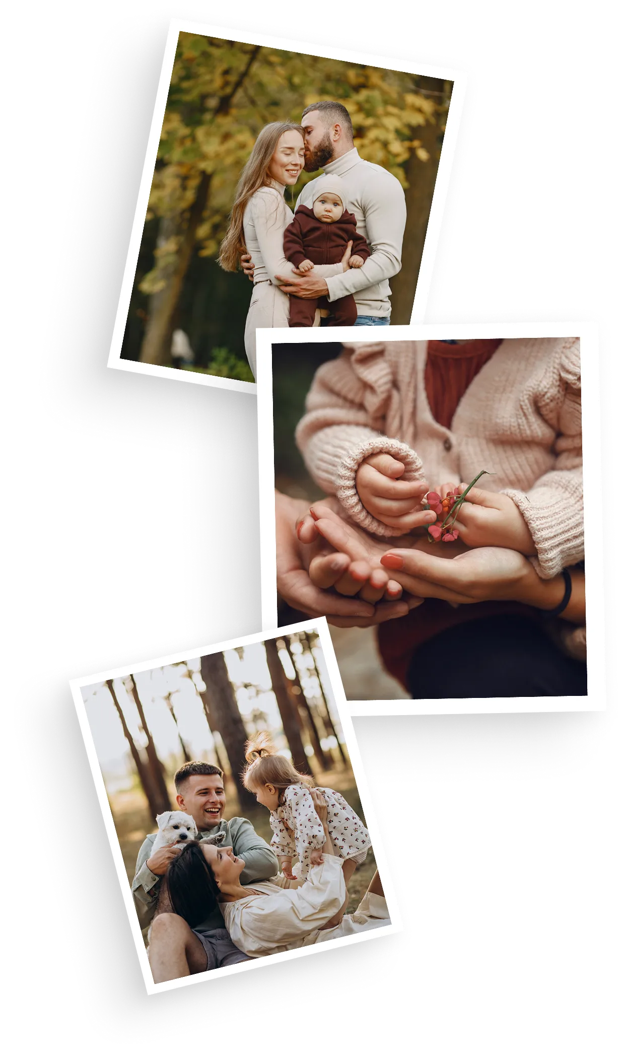 card_family
